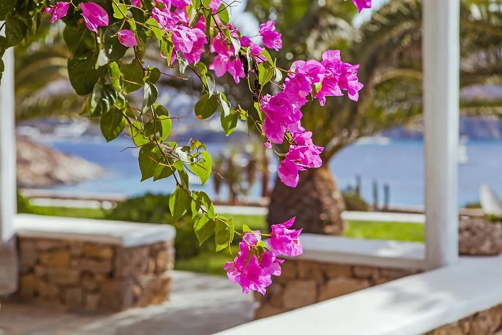 Sea View Residence Mykonos Town Hotel